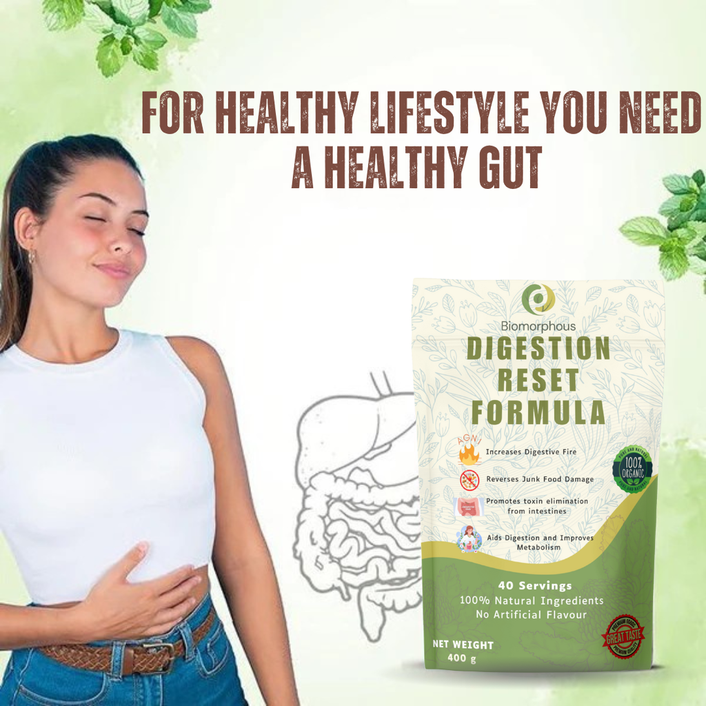 Digestion Reset Formula by Biomorphous